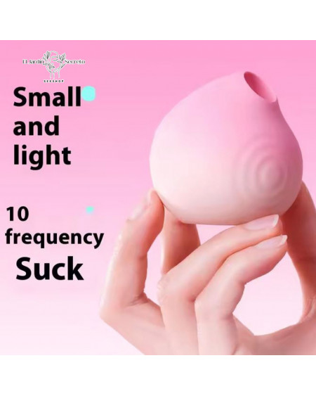 Mini Succionador y Vibrador para Clítoris Mini Vibrador rosa