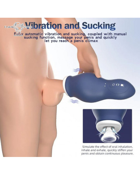 Masturbador Azul masculino con Vibración y succión Dragon Training Cup