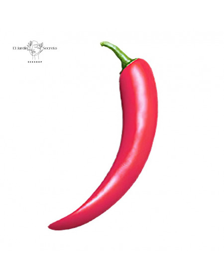 Vibrador Sexo Anal Vaginal 16cm Pepper Vegetables Sexy Cucumber