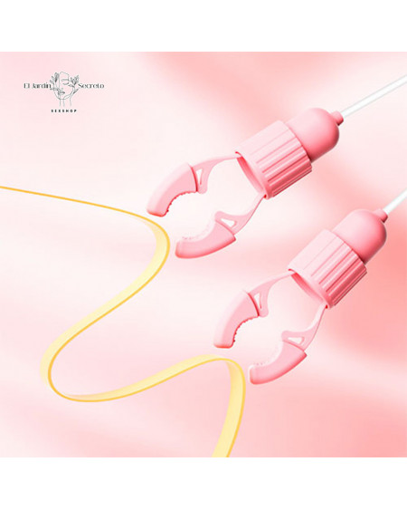 Kit Pinzas para pezones con Succionador de clítoris Pink Rabbit Nipple Clip Sucking